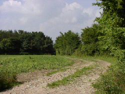 behind our properties