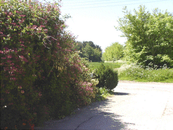 what things to see and do in and around suffolk lavenham sudbury uk