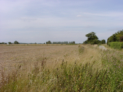 Suffolk Landscape